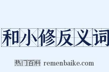 和小修反义词是什么意思的图片